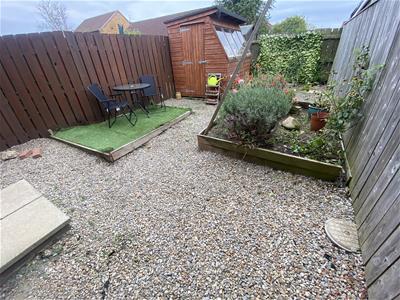 Picture 11